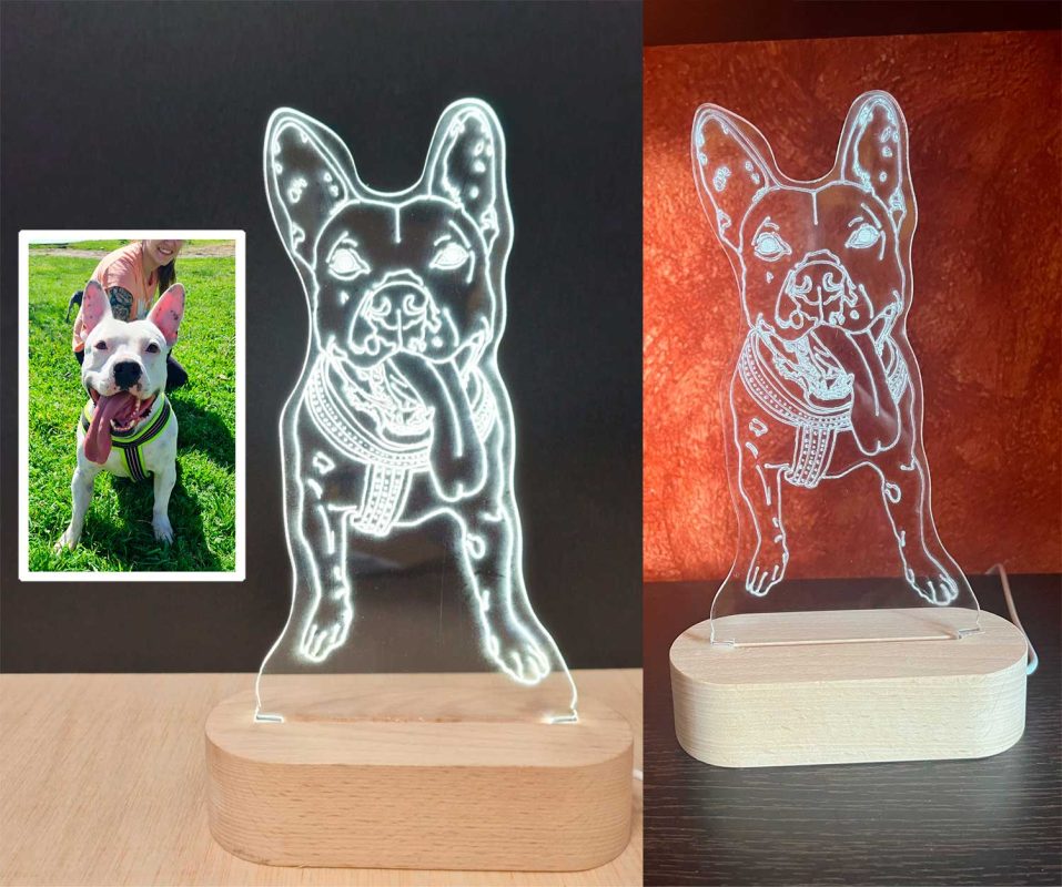 Foto dibujada a mano - lámpara personalizada con iluminación LED mascota