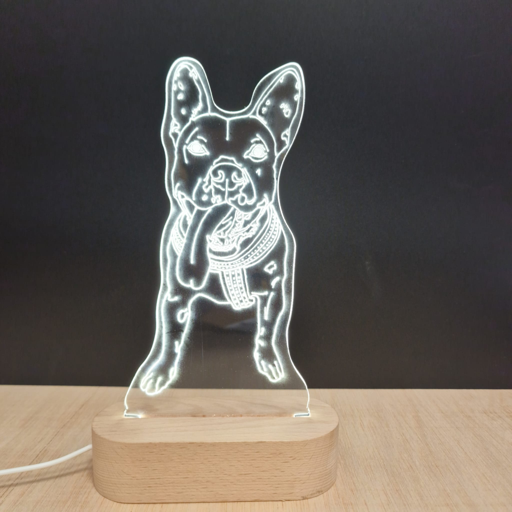 Arte luminoso: una mascota dibujada a mano en lámpara personalizada - foto de la lámpara hecha