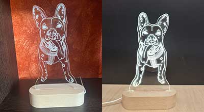 Arte luminoso: una mascota dibujada a mano en lámpara personalizada