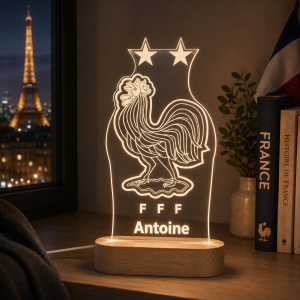 Selección Francia escudo - Lámpara personalizada con iluminación LED 2